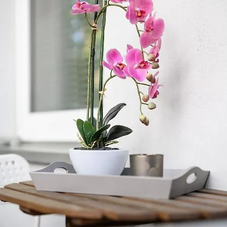 Moderne In Zentraler Lage Mit Balkon - Wlan