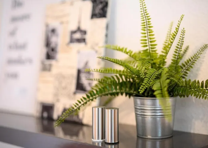 Moderne In Zentraler Lage Mit Balkon - Wlan